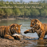 Essential Permits Required for a Sundarban Tour