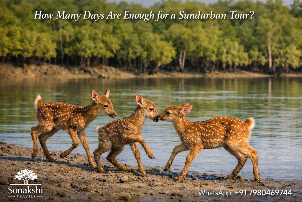 How Many Days Are Enough for a Sundarban Tour