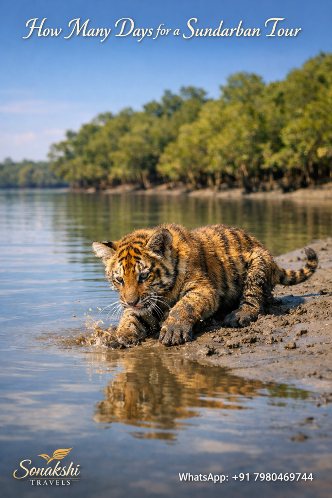 How Many Days for a Sundarban Tour