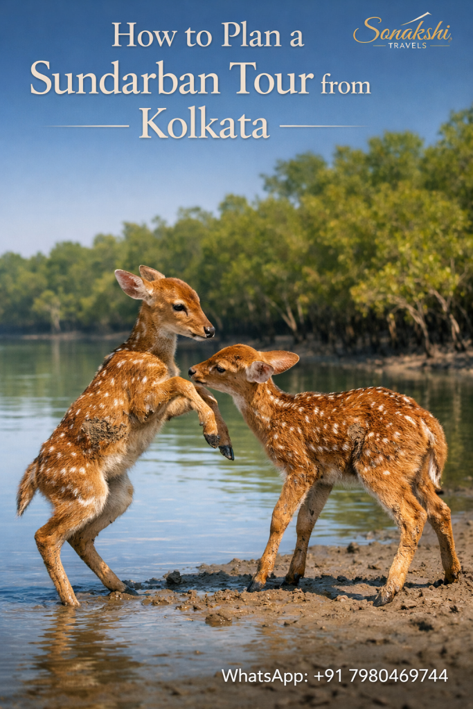 How to Plan a Sundarban Tour from Kolkata