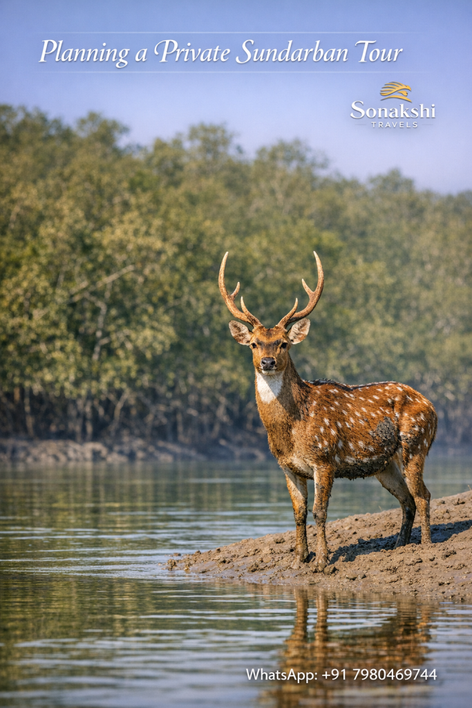 Planning a Private Sundarban Tour