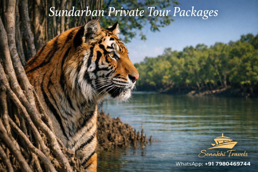 Private Sundarban Tour vs Group Tour Experience