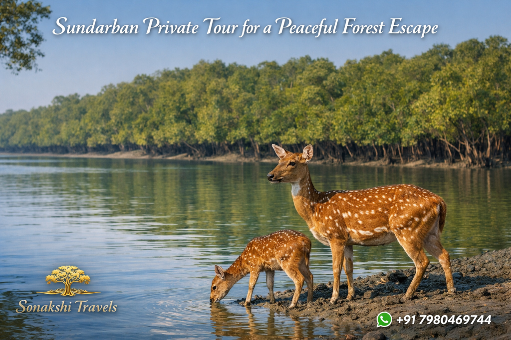Sundarban Private Tour for a Peaceful Forest Escape
