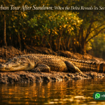 Sundarban Tour After Sundown: When the Delta Reveals Its Secret Life