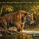 Sundarban Tour Through Villages at the Forest Edge