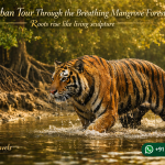 Sundarban Tour Through the Breathing Mangrove Forest  Roots Rise Like Living Sculpture