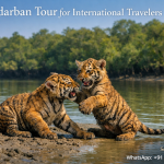 Sundarban Tour for International Travelers