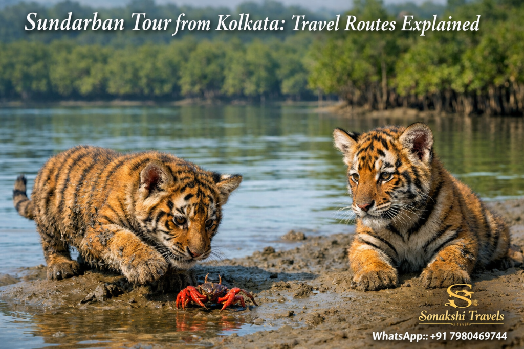 Sundarban Tour from Kolkata: Travel Routes Explained