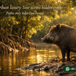 Sundarban luxury tour across hidden creeks - Paths only tides can reveal