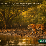 Sundarban luxury tour beyond quiet waters - Where silence defines the journey