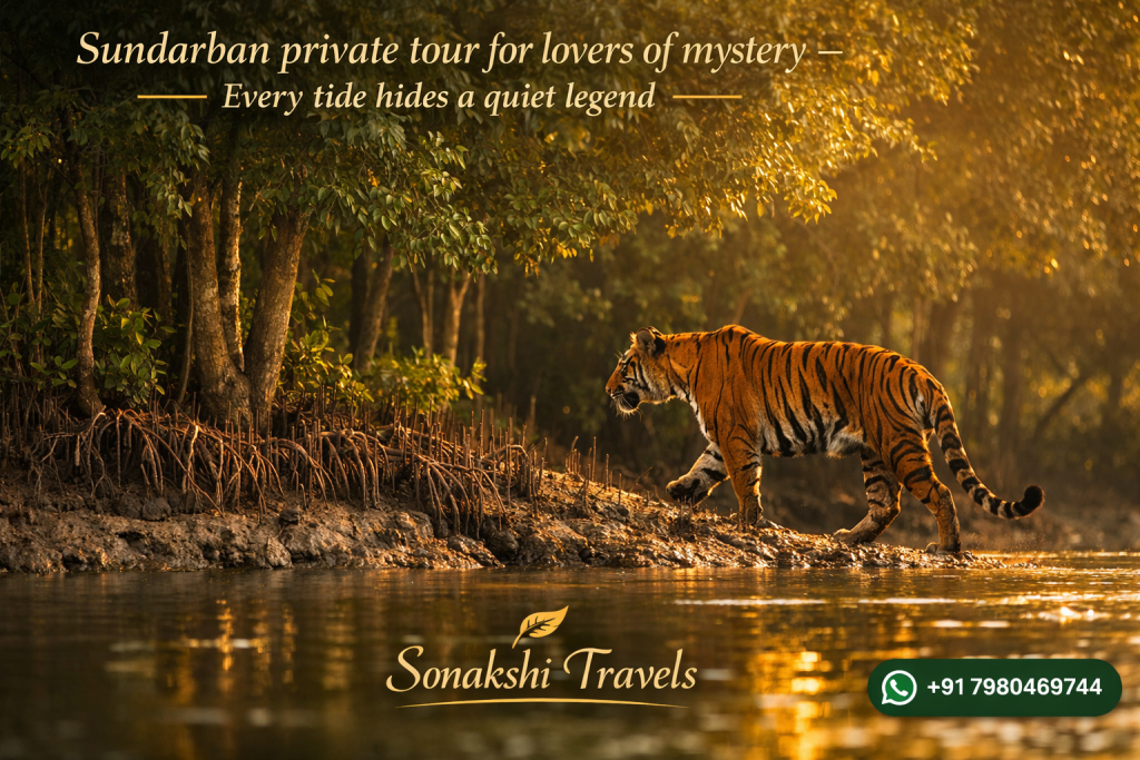 Sundarban private tour for lovers of mystery