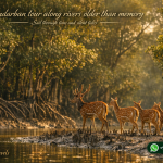 Sundarban tour along rivers older than memory