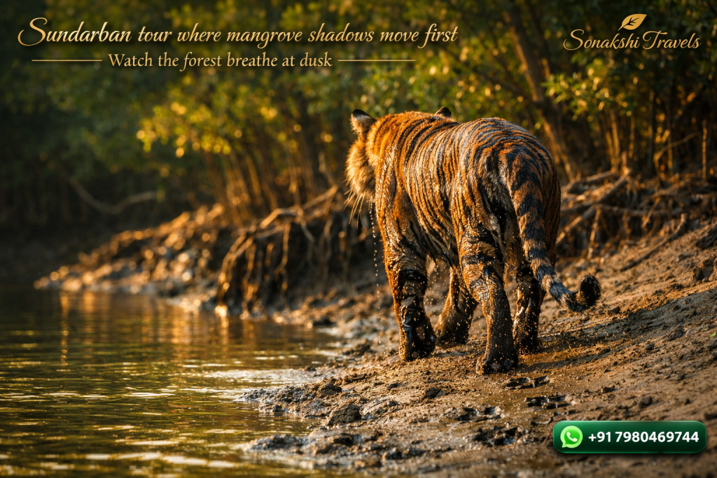 Sundarban tour where mangrove shadows move first