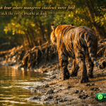 Sundarban tour where mangrove shadows move first