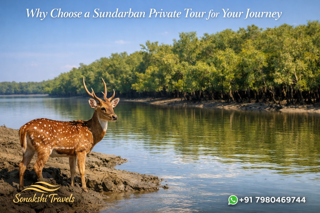 Why Choose a Sundarban Private Tour for Your Journey