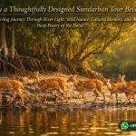Why a Thoughtfully Designed Sundarban Tour Becomes a Living Journey Through River Light, Wild Nature, Cultural Memory, and the Deep Poetry of the Delta