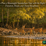 How to Plan a Meaningful Sundarban Tour with the Right Season, Duration, Route, and Travel Readiness