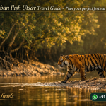 Sundarban Ilish Utsav Travel Guide - Plan your perfect festival escape