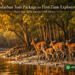 Sundarban Tour Package for First-Time Explorers - Start your delta journey with clarity