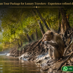 Sundarban Tour Package for Luxury Travelers - Experience refined delta living