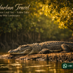 Sundarban Travel Where Rivers Lead You - Follow Tides into Wild Landscapes