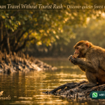 Sundarban Travel Without Tourist Rush - Discover quieter forest routes