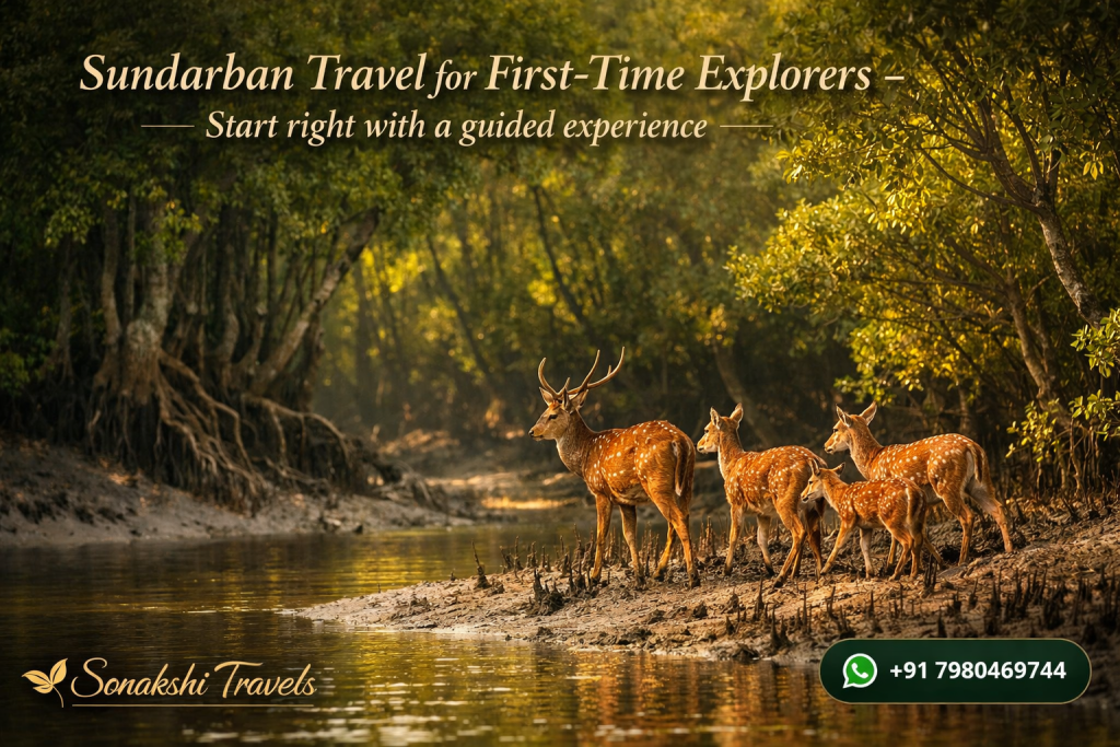 Sundarban Travel for First-Time Explorers - Start right with a guided experience