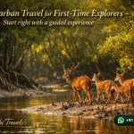 Sundarban Travel for First-Time Explorers - Start right with a guided experience