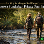 Looking for a Personalised Escape? Choose a Sundarban Private Tour Package