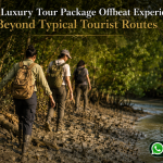 Sundarban Luxury Tour Package Offbeat Experience - Beyond Typical Tourist Routes