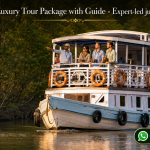 Sundarban Luxury Tour Package with Guide - Expert-led jungle exploration