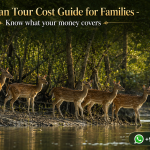 Sundarban Tour Cost Guide for Families - Know what your money covers