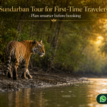 Sundarban Tour for First-Time Travelers - Plan smarter before booking