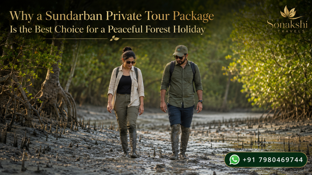 Why a Sundarban Private Tour Package Is the Best Choice for a Peaceful Forest Holiday