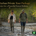 Why a Sundarban Private Tour Package Is the Best Choice for a Peaceful Forest Holiday