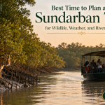 Best Time to Plan a Sundarban Tour for Wildlife, Weather, and River Safari
