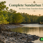 Complete Sundarban Tour Guide for First-Time Travelers from Kolkata