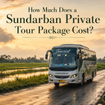 How Much Does a Sundarban Private Tour Package Cost