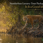 Sundarban Luxury Tour Package in Monsoon Is It a Good Idea