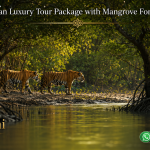 Sundarban Luxury Tour Package with Mangrove Forest Safari