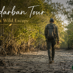 Sundarban Tour for a Wild Escape