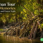 Sundarban Tour Creates Memories Through Rivers and Forest Trails