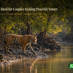 Sundarban Tour Is Ideal for Couples Seeking Peaceful Nature