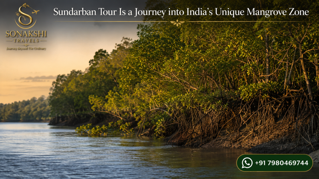 Sundarban Tour Is a Journey into India’s Unique Mangrove Zone
