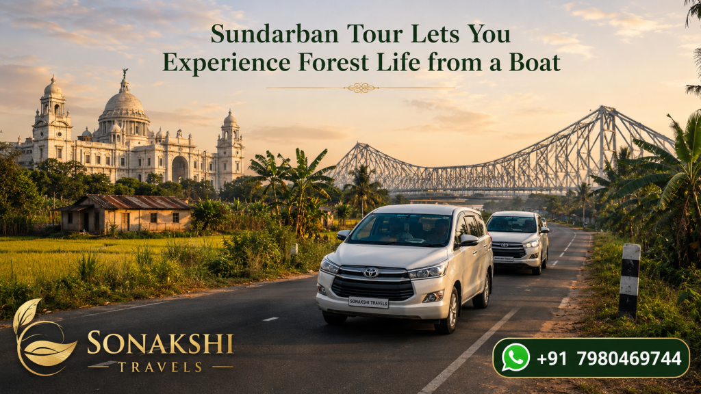 Sundarban Tour Lets You Experience Forest Life from a Boat