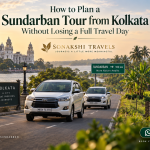 How to Plan a Sundarban Tour from Kolkata Without Losing a Full Travel Day