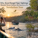Why Royal Bengal Tiger Sightings Should Never Define the Success of a Sundarban Tour