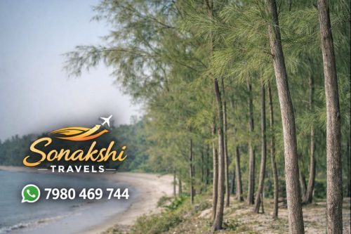 Casuarina-equisetifolia-Jhaw