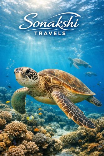 Green-Sea-Turtle-Chelonia-mydas