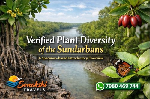 Verified-Plant-Diversity-of-the-Sundarbans